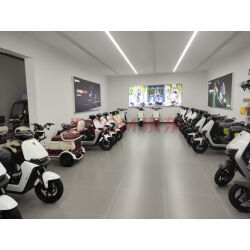 WEN SHENG WS摩托车